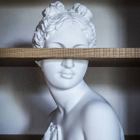 Driade - Venus Bookcase
