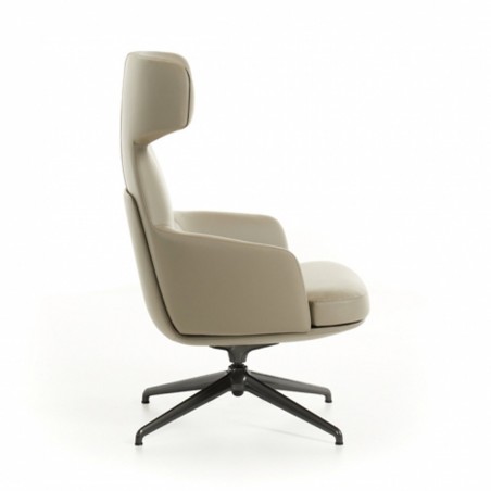 Molteni&C - Fauteuil Piccadilly - Dossier Haut Molteni&C - Fauteuil Piccadilly - Dossier Haut