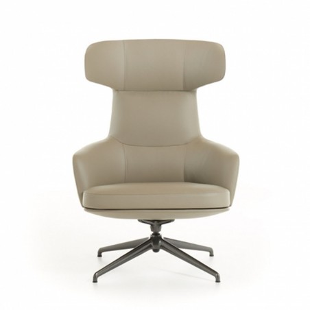 Molteni&C - Fauteuil Piccadilly - Dossier Haut Molteni&C - Fauteuil Piccadilly - Dossier Haut