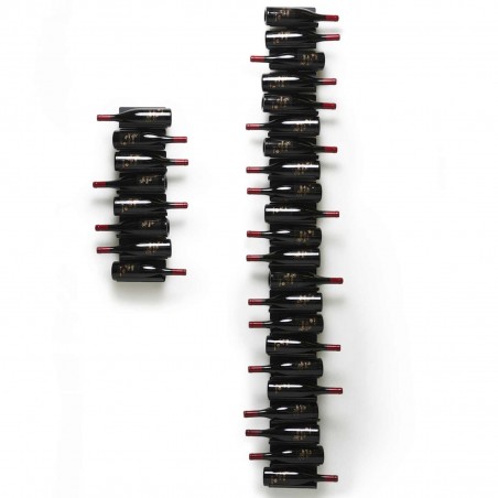 Opinion Ciatti - Ptolomeo Vino Wall Opinion Ciatti - Ptolomeo Vino Wall