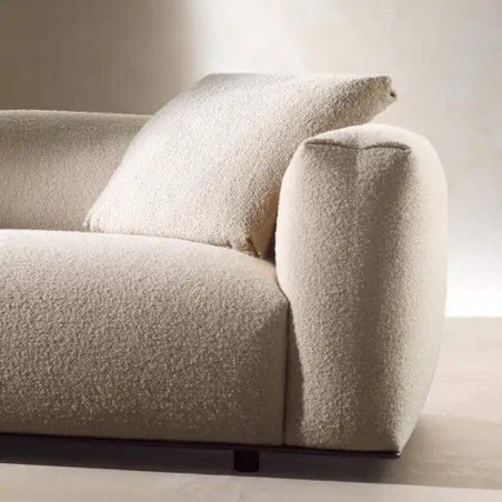 B&B Italia - Dambodue Linear Sofa
